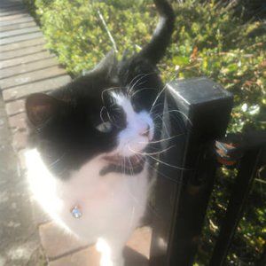 Meet your Posher, Magen